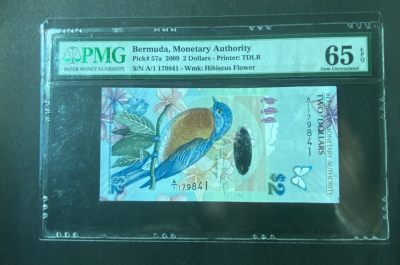 2024新中式文化钱币邮票混合模式拍卖“龙行天下” - 百慕大2元 蓝鸟钞