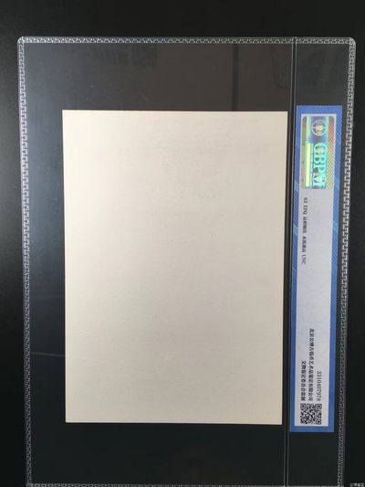 公博评级宣传画 公博评级，特殊时期宣传画    《甘南藏族妇女》，这是纪念特殊年代甘南藏族妇女的画像，外壳尺寸约19*26.4CM，公博评级63分