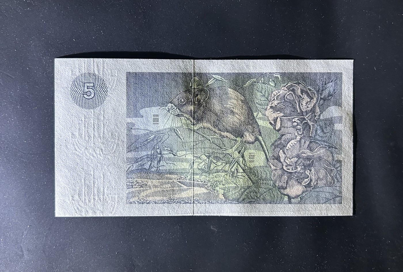 【丑猫0116】今晚六点半，自动快拍 76年苏格兰克莱斯5初版