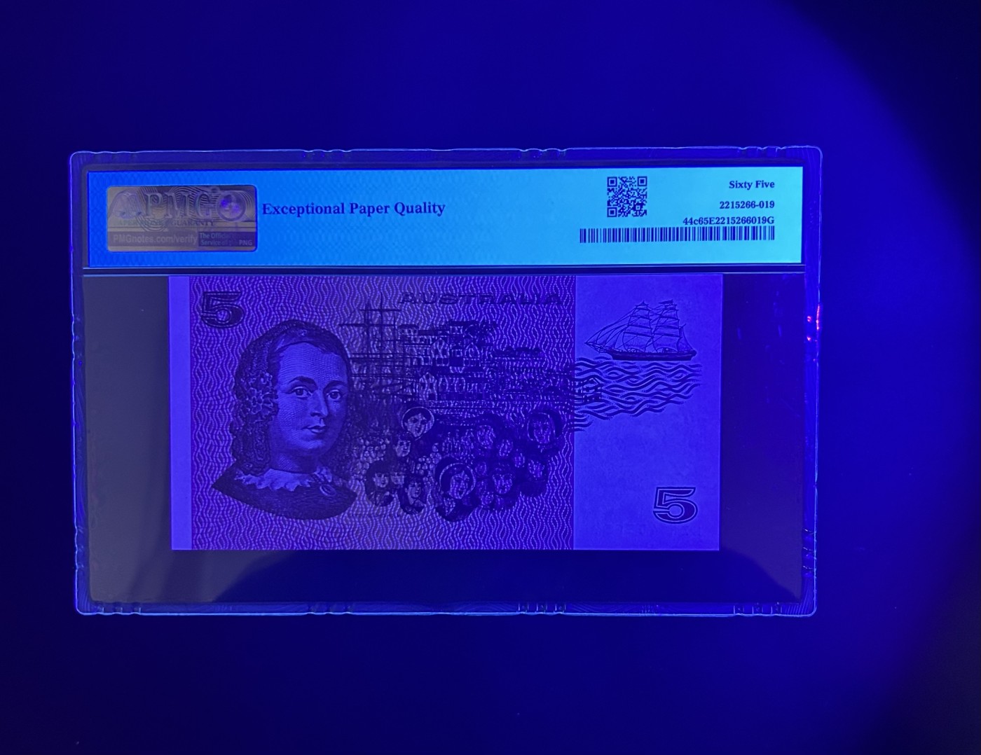 【丑猫0121】今晚六点半，自动快拍 79年澳洲5