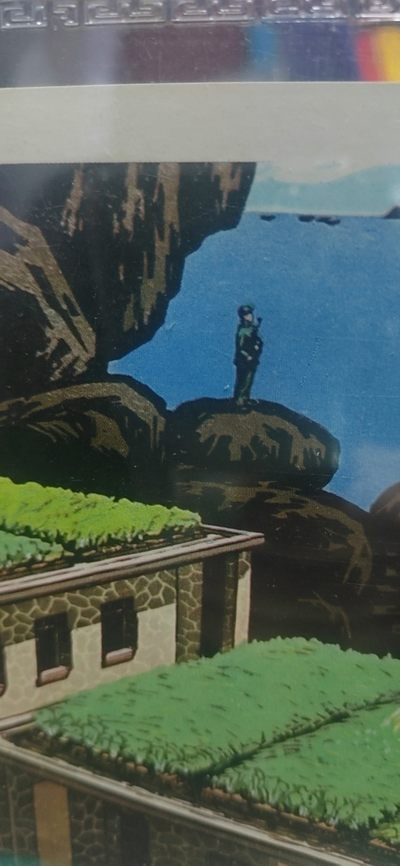 公博评级宣传画 公博评级，特殊时期宣传画    《小岛新菜园》，这是纪念驻岛战士种菜的画像，尺寸21.2*29.7CM