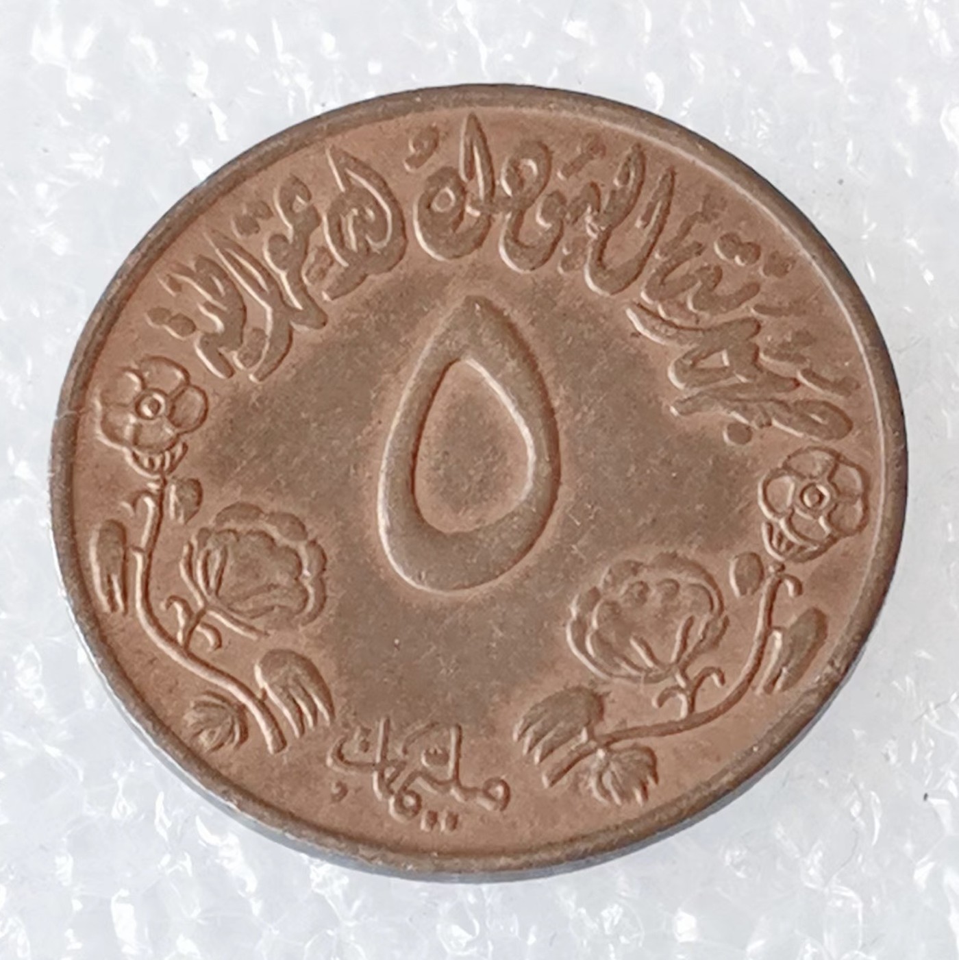 海外回流1元起拍小铺 各国钱币散币场 第6期 苏丹5米利姆铜质硬币