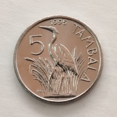 布加迪🐬～世界钱币🌾第 66 期 /  非洲各国散套币 - 马拉维🇲🇼 1995年 5坦巴拉 巴基利·穆卢齐 Bakili Muluzi 总统头像 鹤鸟 较少见