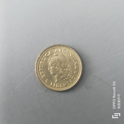 第508期  硬币专场 （无押金，捡漏，全场50包邮，偏远地区除外，接收代拍业务） 阿根廷10分