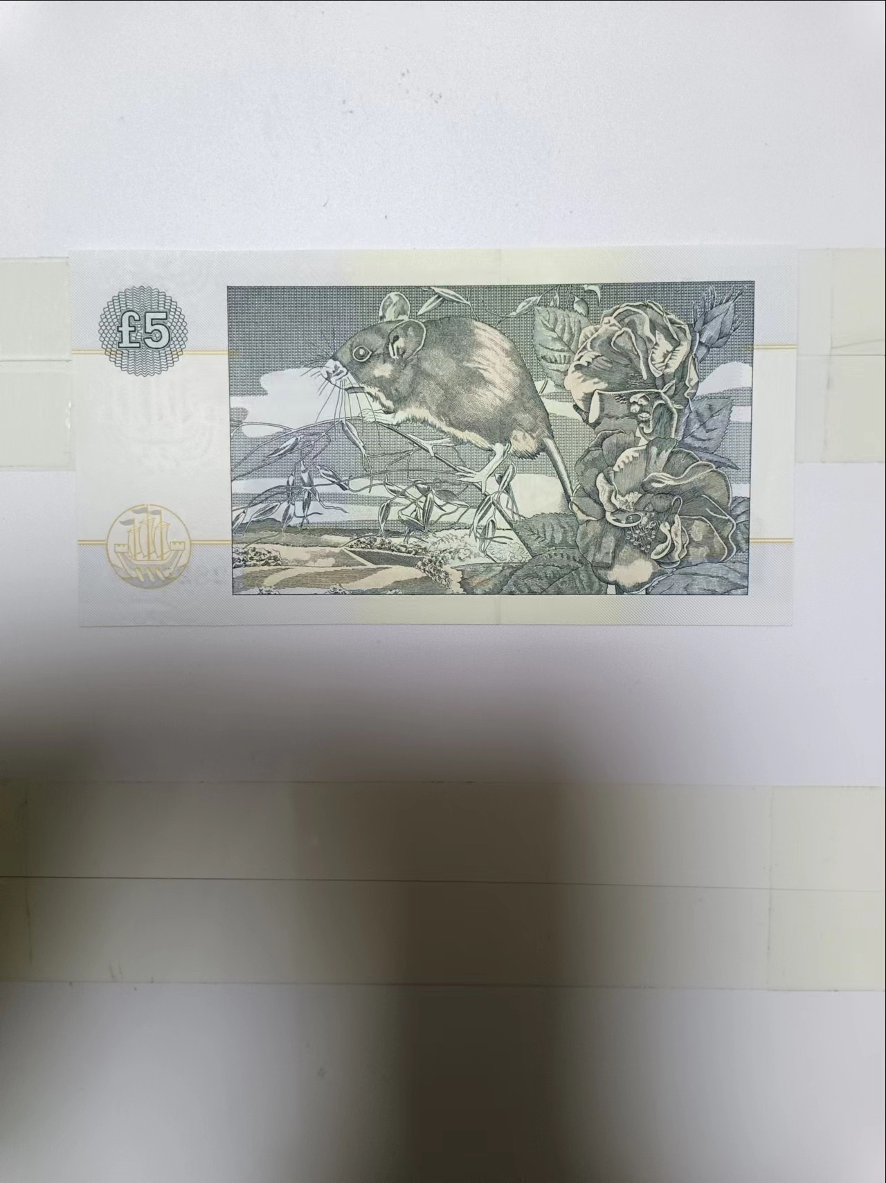 【20240119】非全新纸币第108场 苏格兰克莱德玆戴尔银行2002年5镑，全新