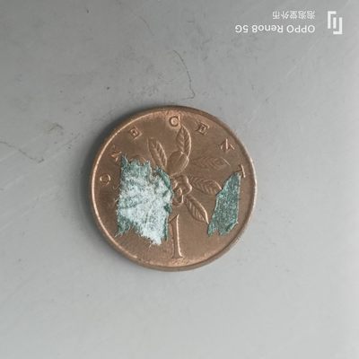 第508期  硬币专场 （无押金，捡漏，全场50包邮，偏远地区除外，接收代拍业务） 牙买加一分