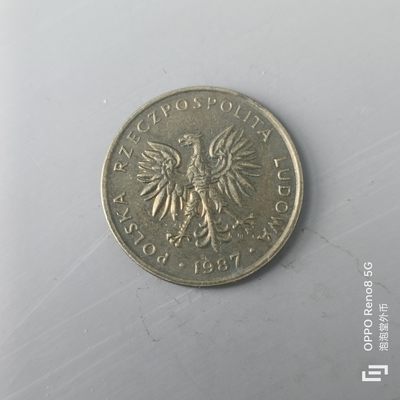 第508期  硬币专场 （无押金，捡漏，全场50包邮，偏远地区除外，接收代拍业务） 波兰5Zt
