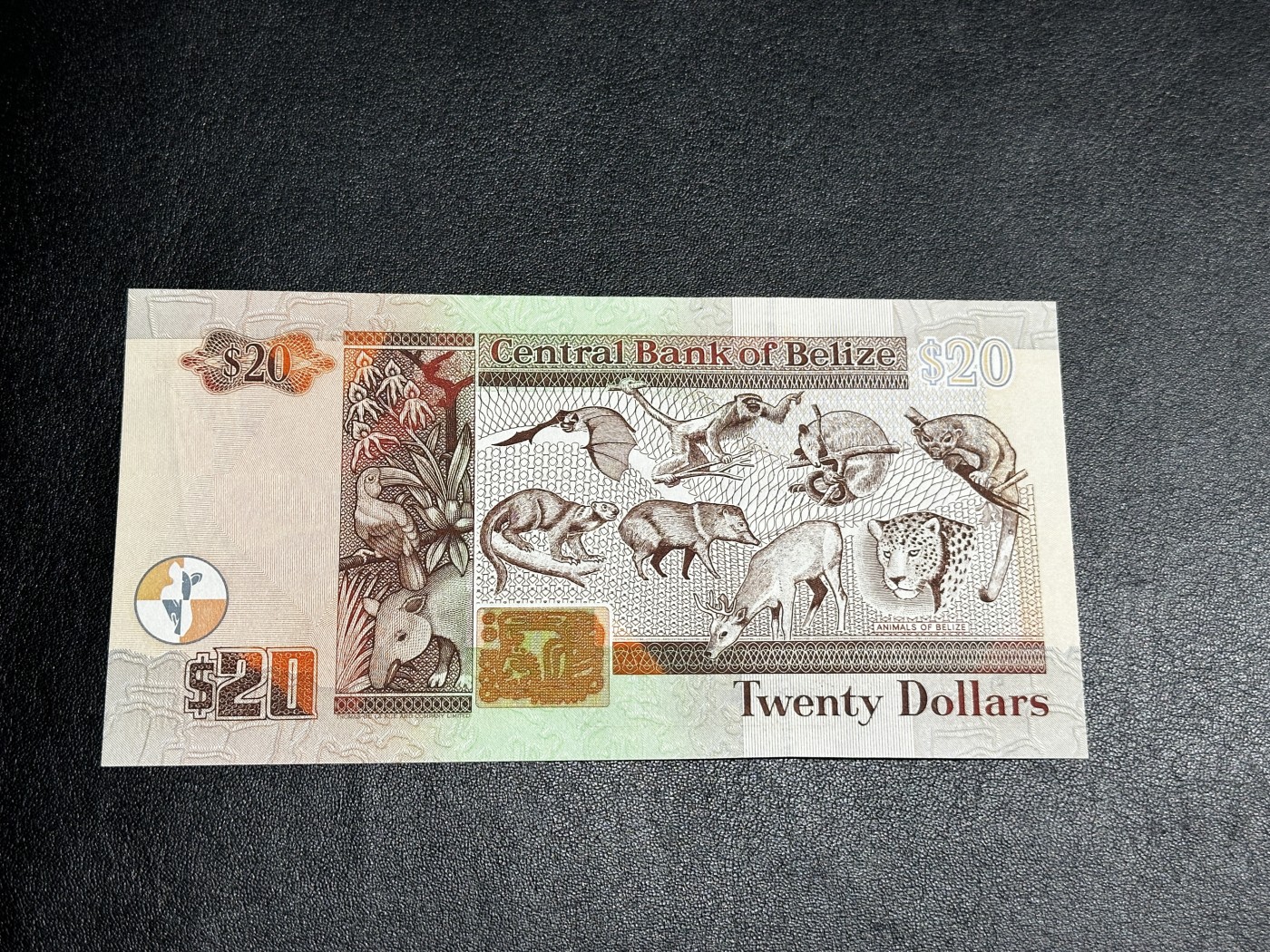 《外钞收藏家》第三百三十二期 加勒比四国专场（伯利兹/巴哈马/巴巴多斯/开曼） 伯利兹1997年20元（P63） 全新UNC