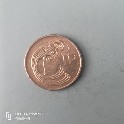 第508期  硬币专场 （无押金，捡漏，全场50包邮，偏远地区除外，接收代拍业务） 爱尔兰1P