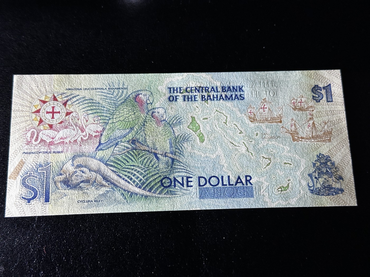 《外钞收藏家》第三百三十二期 加勒比四国专场（伯利兹/巴哈马/巴巴多斯/开曼） 巴哈马1992年1元哥伦布纪念钞（P50） 全新UNC