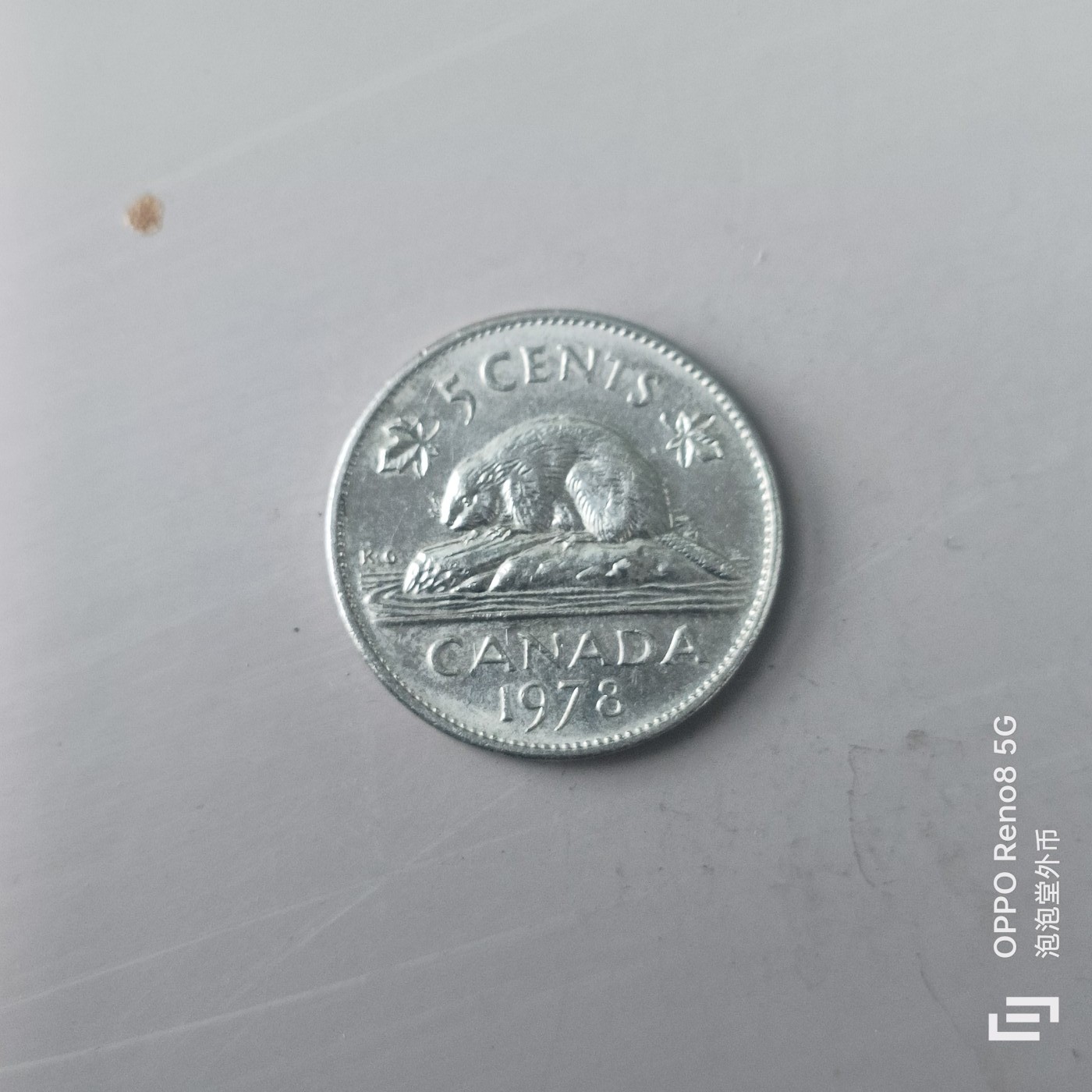 第565期 硬币专场 （无押金，捡漏，全场50包邮，偏远地区除外，接收代拍业务） 加拿大五分