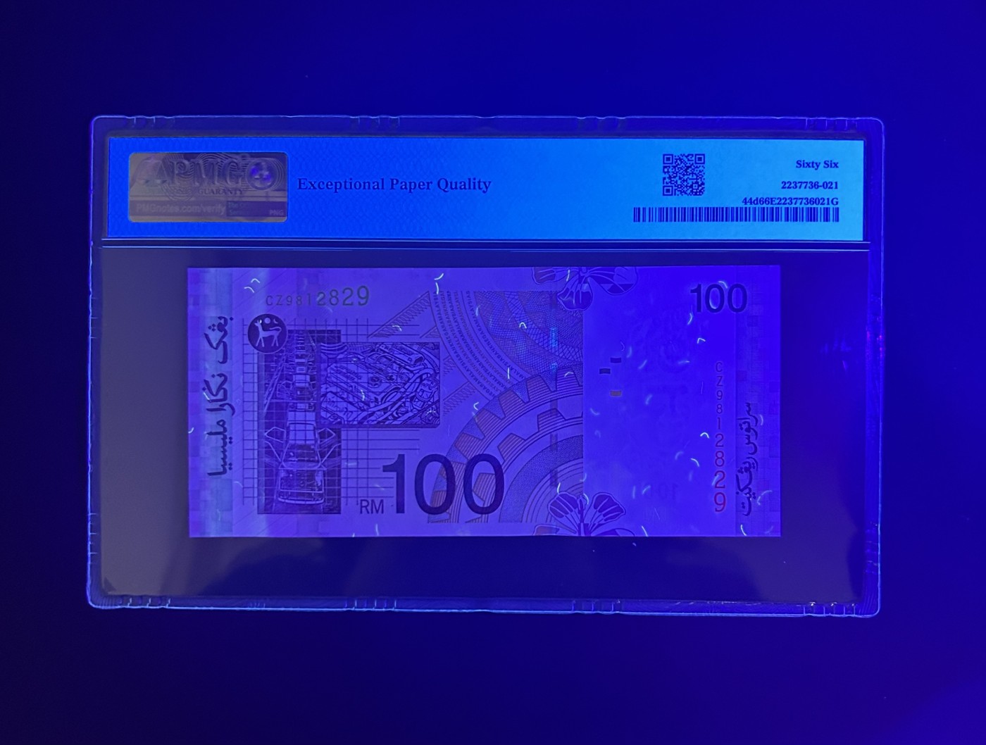 【丑猫0121】今晚六点半，自动快拍 马来老版100