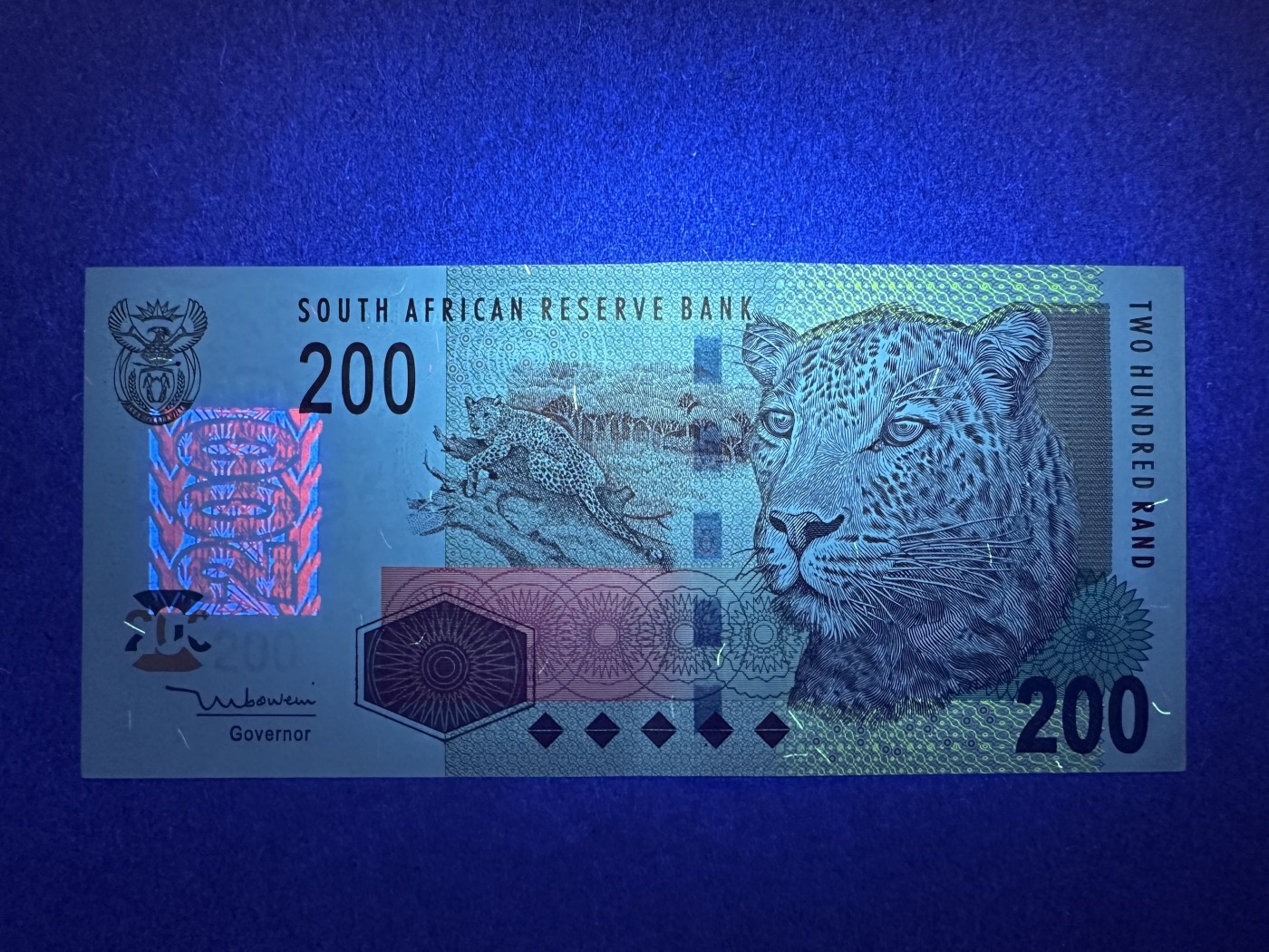 《张总收藏》135期-节前外币超精品场(欧亚名誉品) 南非200兰特 UNC 2005年 非洲豹
