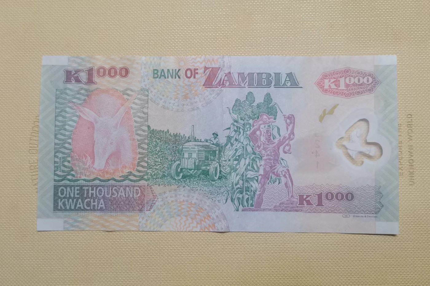 【易洋钱喜】第36场 外国纸币专场 赞比亚100克瓦查，塑料钞