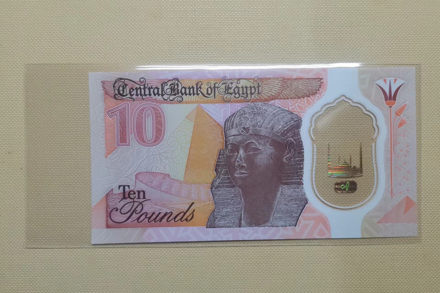 【易洋钱喜】第36场 外国纸币专场 埃及10镑塑料钞