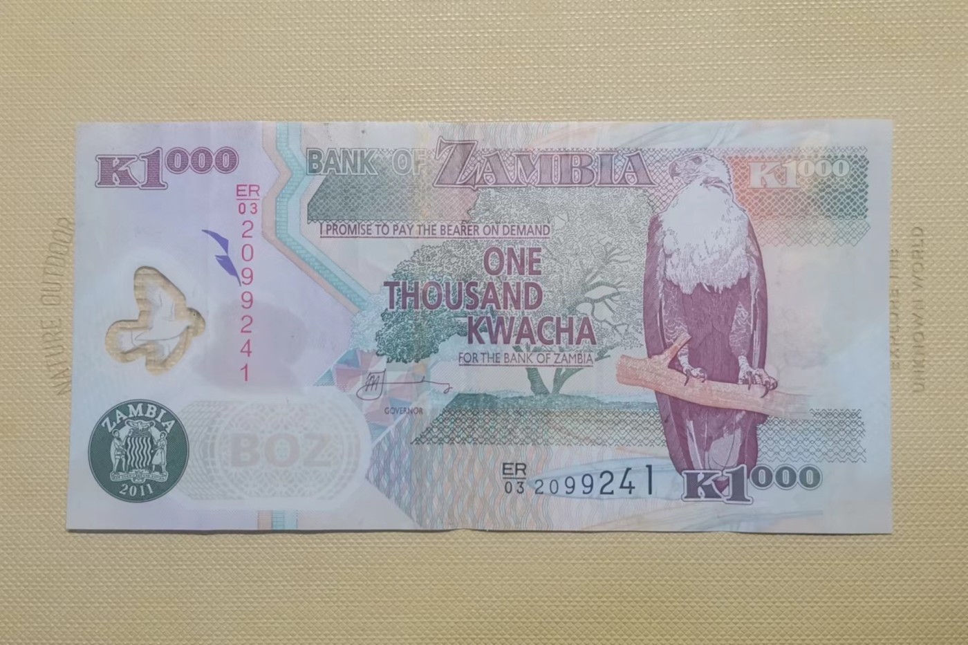 【易洋钱喜】第36场 外国纸币专场 赞比亚100克瓦查，塑料钞