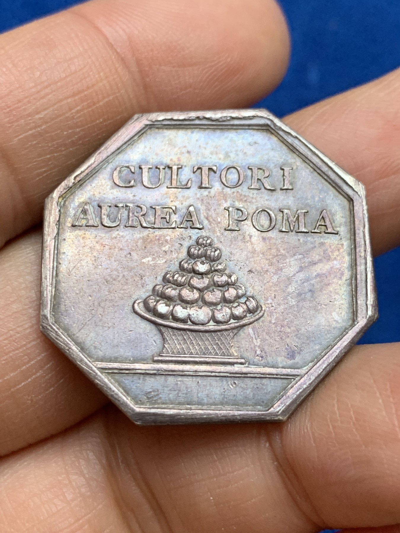 《竞宝斋》第237场- 周日，周一，周二，周日 疯狂4连拍 (全场包邮) 法国八角银质代币，霍图斯橘园，13.38g，31.8mm，早期无边铭