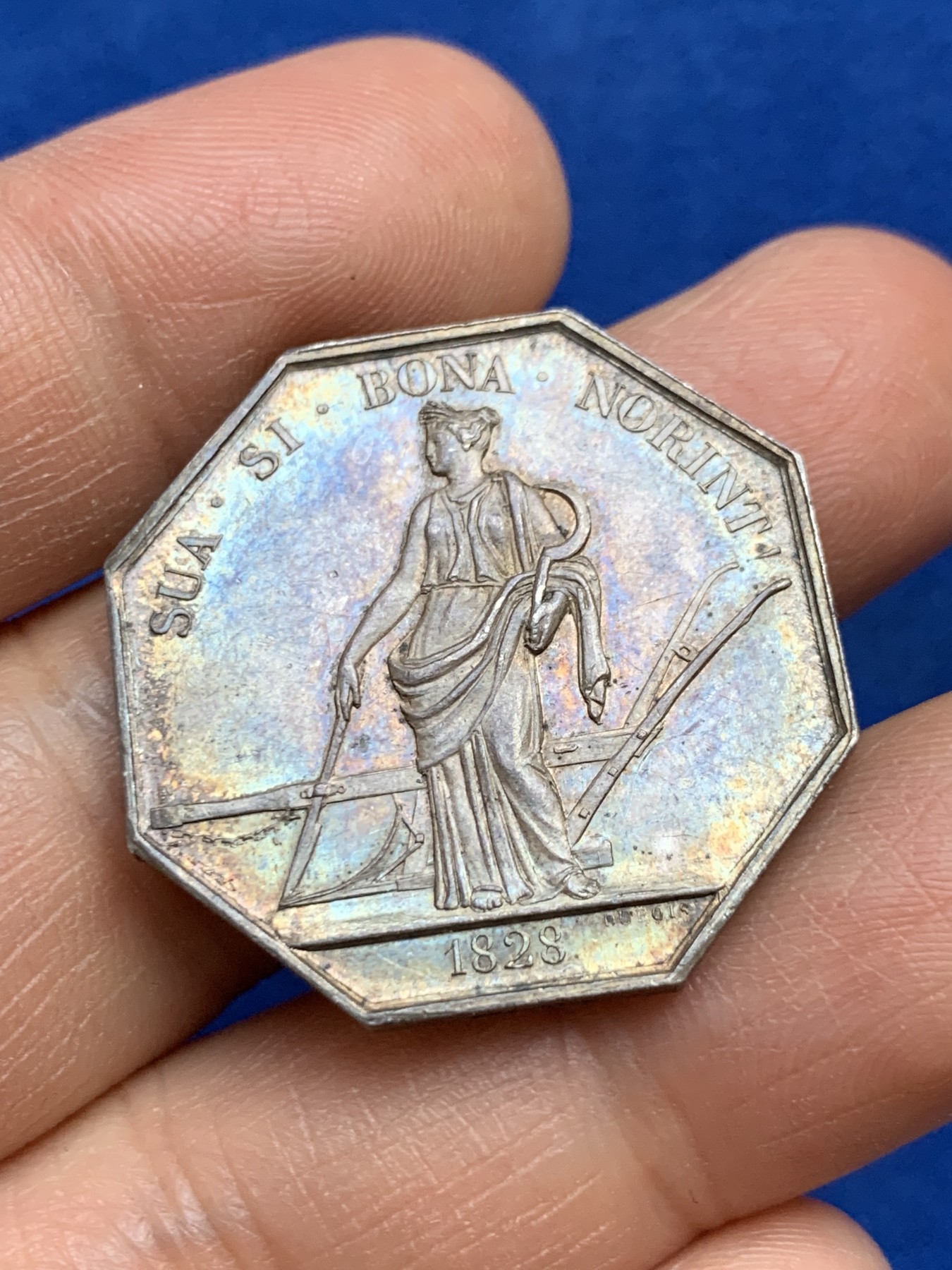 《竞宝斋》第237场- 周日，周一，周二，周日 疯狂4连拍 (全场包邮) 法国八角银章，卢瓦尔农业、园艺、渔业、狩猎和皇家农业学会，12.22g，30mm，手指边铭，黄油底光