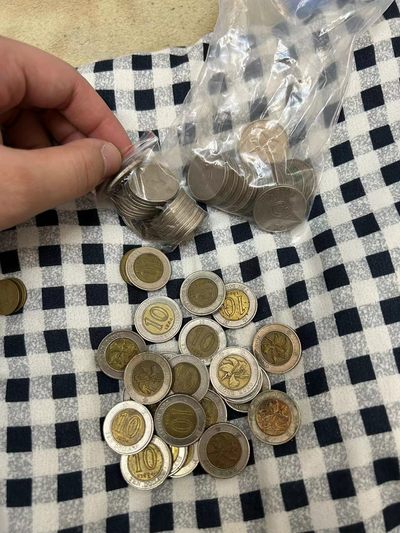 240126 紫荆花10元一个，随机发货