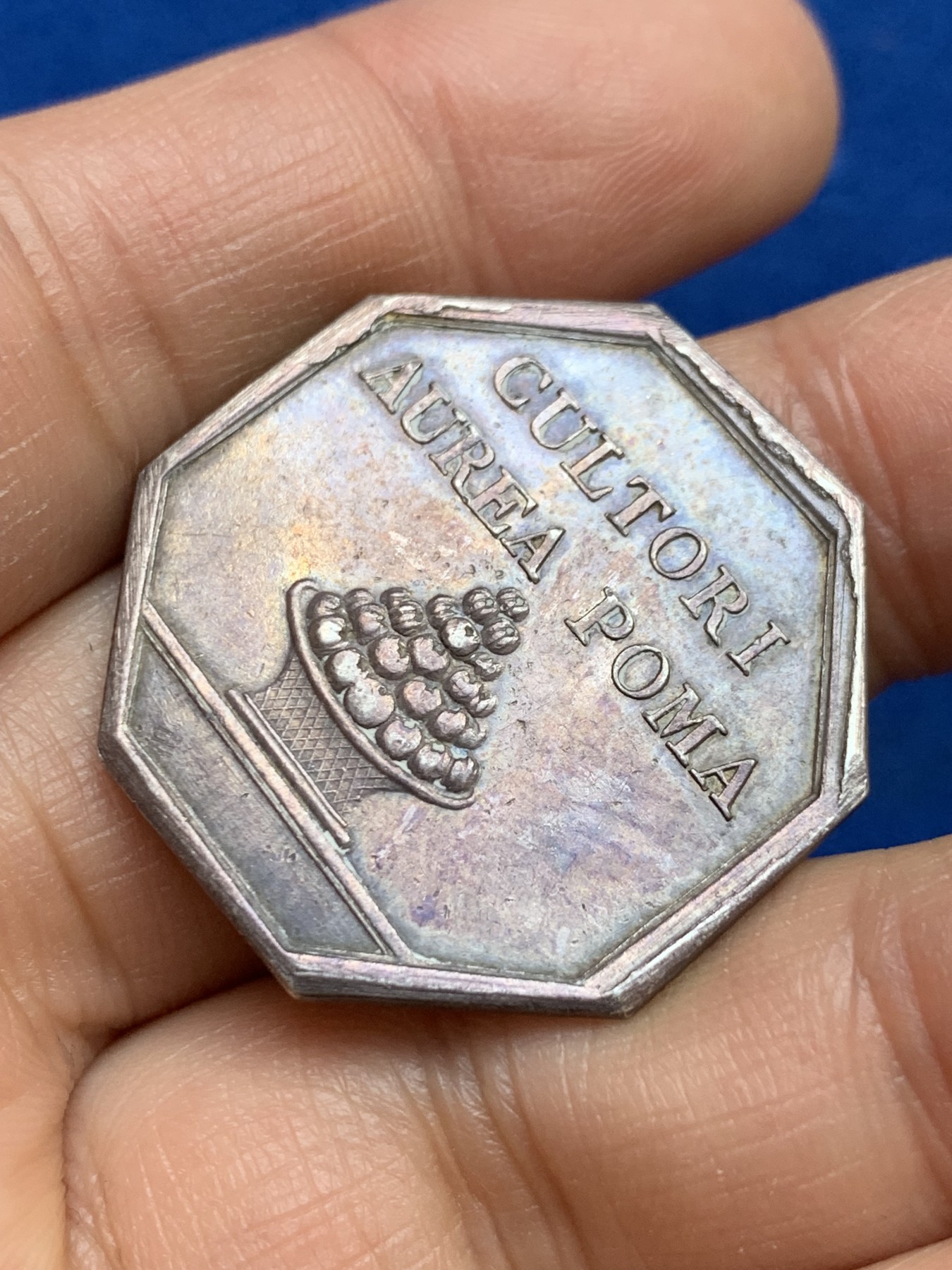 《竞宝斋》第237场- 周日，周一，周二，周日 疯狂4连拍 (全场包邮) 法国八角银质代币，霍图斯橘园，13.38g，31.8mm，早期无边铭