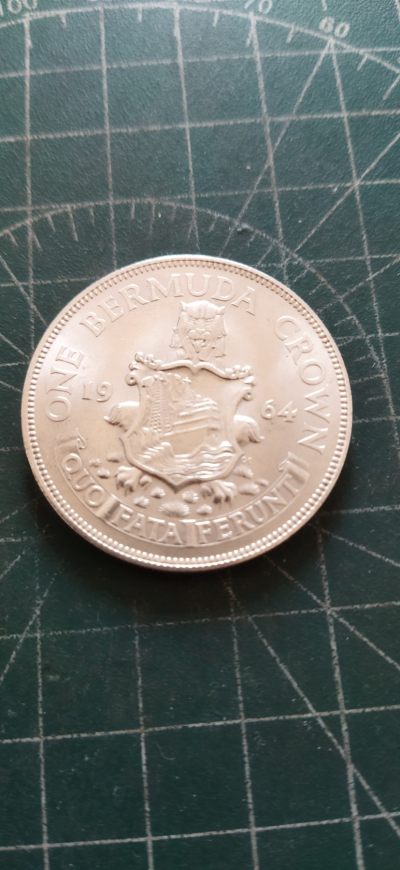 外国硬币初藏散币银币第19场 - 百慕大1元银币1964年原光。