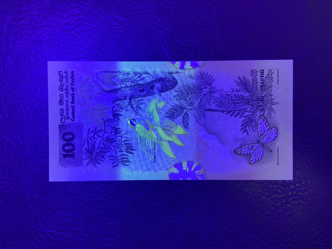收藏联盟Quantum Auction 第319期拍卖  斯里兰卡1979年100卢比 品相全新UNC 金吉鸟 