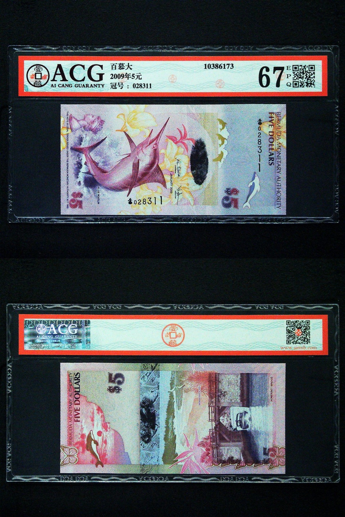 收藏联盟Quantum Auction 第319期拍卖  百慕大2009年5元洋葱首发冠  ACG 67EPQ 号码无457
