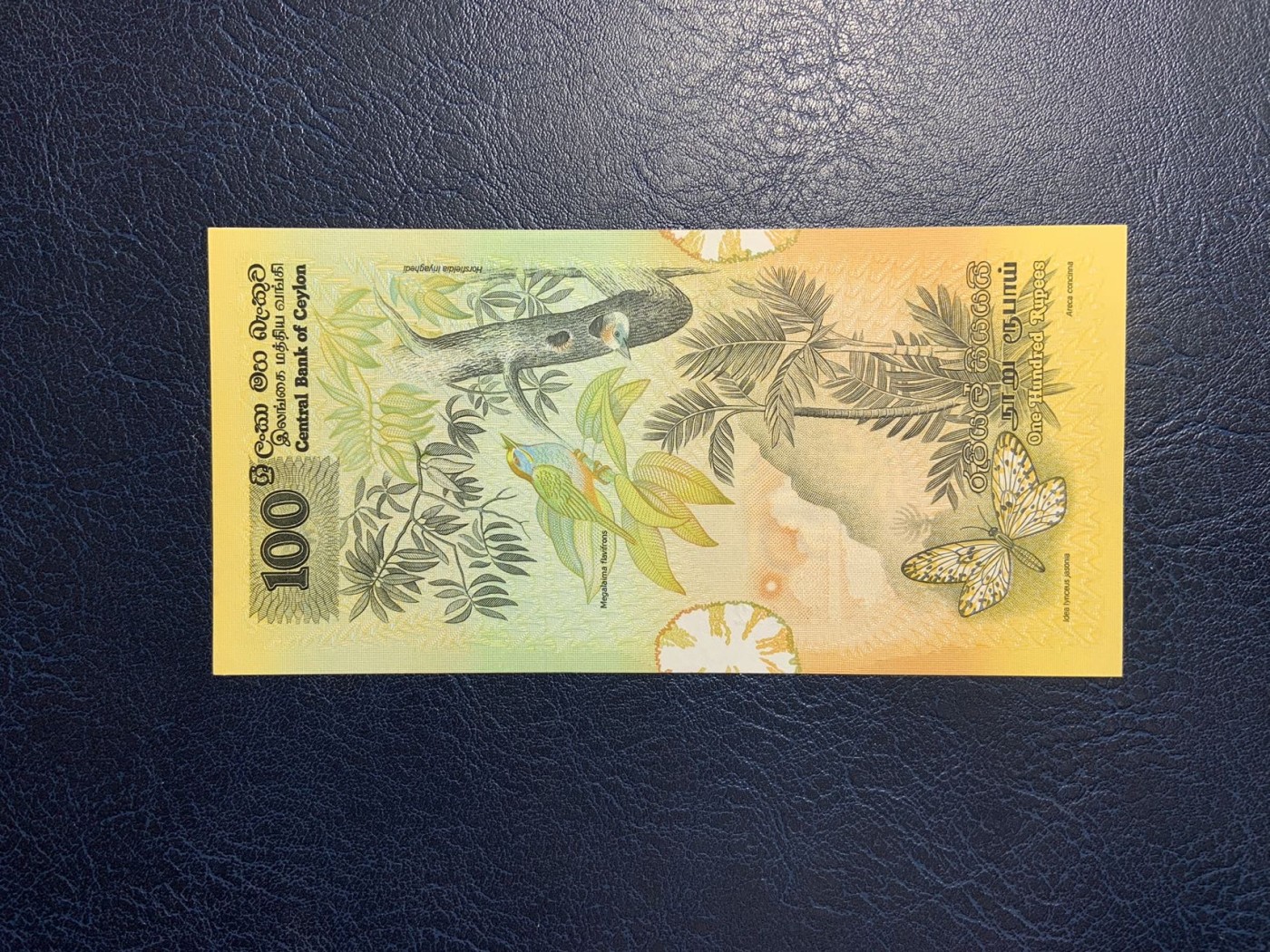收藏联盟Quantum Auction 第319期拍卖  斯里兰卡1979年100卢比 品相全新UNC 金吉鸟 