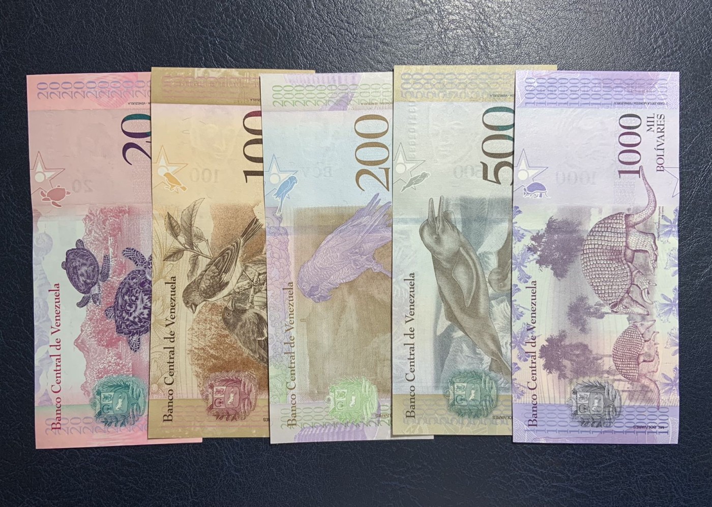 收藏联盟Quantum Auction 第319期拍卖  委瑞内拉2014-18年2-20000玻利维亚 品相UNC 打侧光的部分为AU+ 