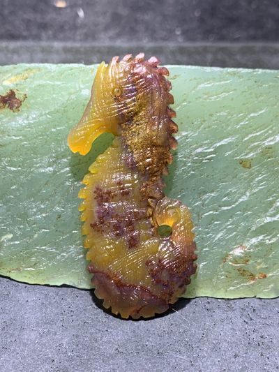 精美亚光高玉化巴西玛瑙手工雕刻海马吊坠一个 - 精美亚光高玉化巴西玛瑙手工雕刻海马吊坠一个