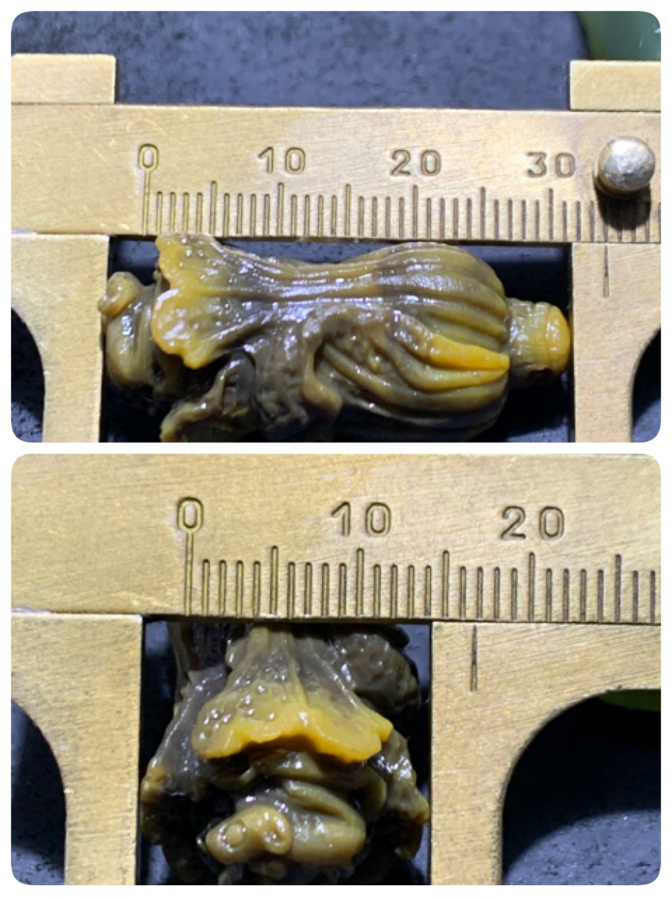 精美亚光战国红玛瑙手工俏色巧雕白菜吊坠一个
