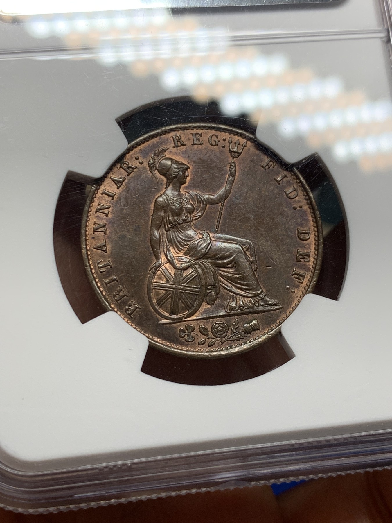 《竞宝斋》第235场-周日，周一，周二，周三 疯狂4连拍 (全场包邮) NGC  MS63BN 1855年英国1/2便士铜币 小维头像，品相一流，不要错过