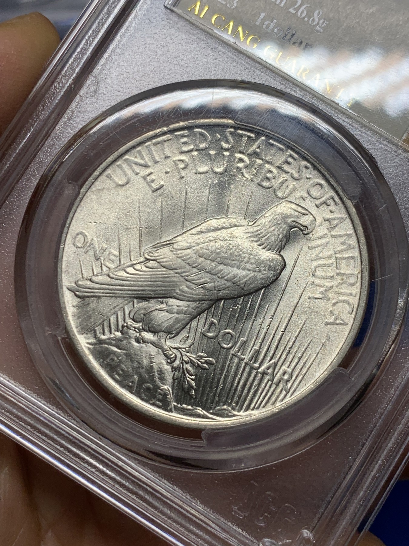 《竞宝斋》第235场-周日，周一，周二，周三 疯狂4连拍 (全场包邮) ACG金标-MS64 美国 1923年 1美元 和平银币 拆卷品自行送评 底板很好 无氧化 未使用 车轮光强烈 爱藏金标很严格 分数不是乱给的 官网图可以清晰看到币的完美状态 可砸盒送NP