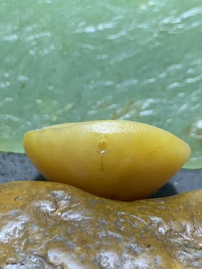 精美亚光晶洞战国红玛瑙手工雕刻双鱼吊坠一个(寓意，富贵有余）， 精美亚光晶洞战国红玛瑙手工雕刻双鱼吊坠一个(寓意，富贵有余），