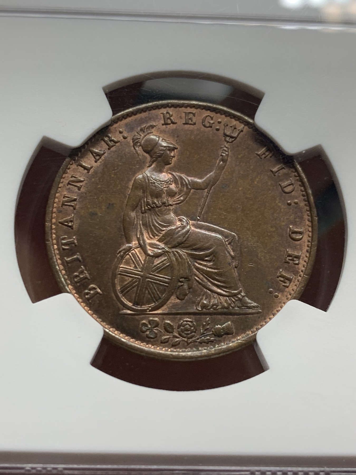 《竞宝斋》第235场-周日，周一，周二，周三 疯狂4连拍 (全场包邮) NGC  MS63BN 1855年英国1/2便士铜币 小维头像，品相一流，不要错过