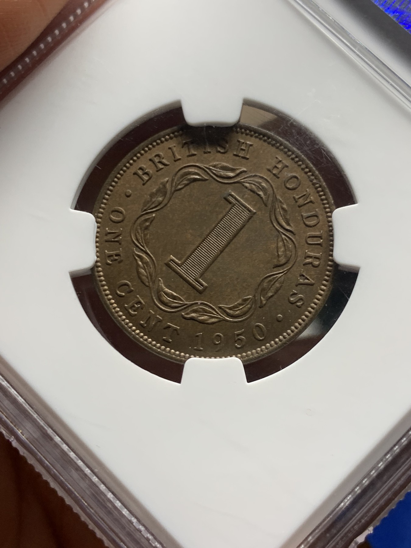 《竞宝斋》第235场-周日，周一，周二，周三 疯狂4连拍 (全场包邮) NGC  MS65BN 1950年英属洪都拉斯1分铜币    冠军分