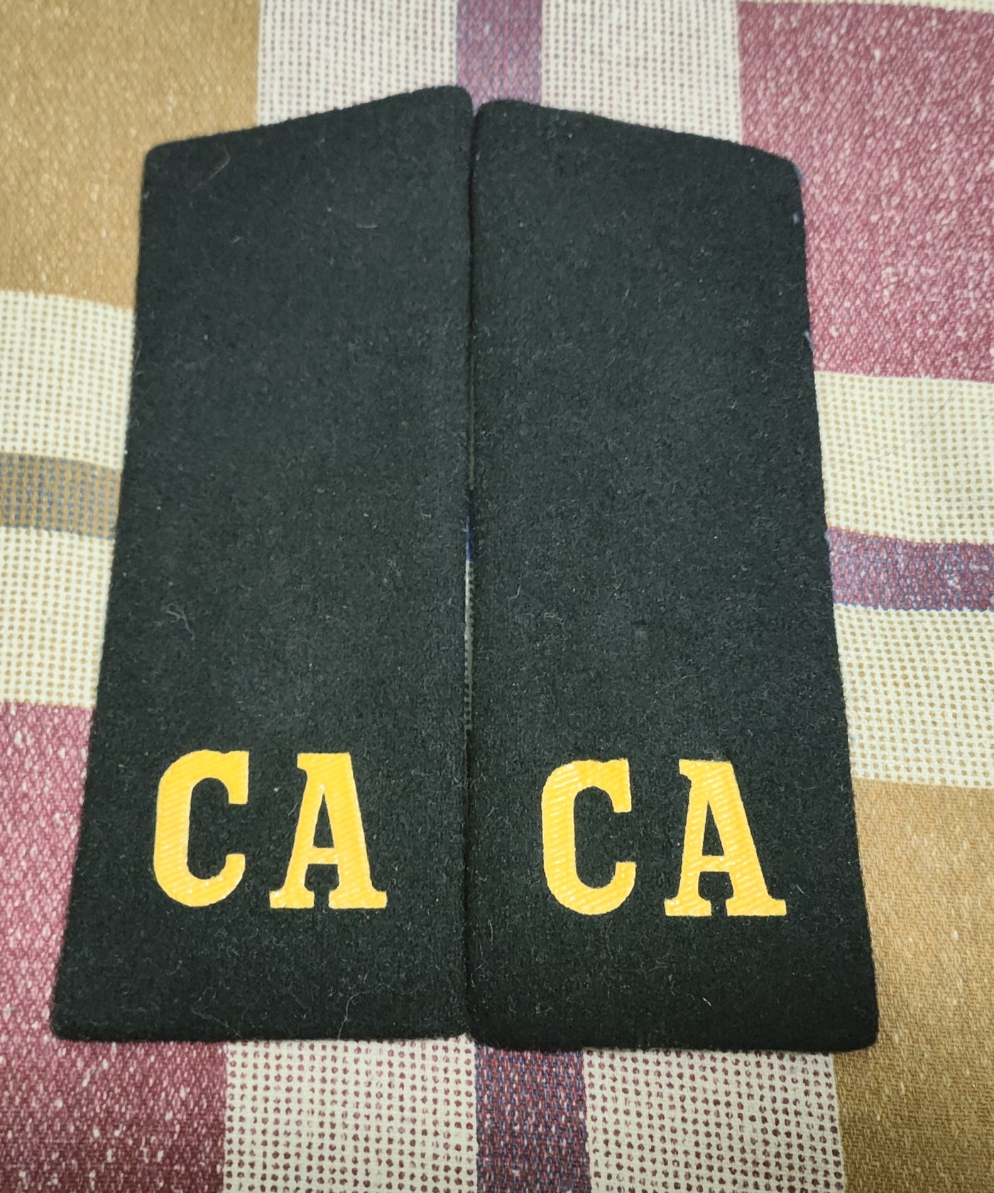 仁孝堂徽章红藏拍卖(第二场) 苏联M69士兵大衣肩章一副