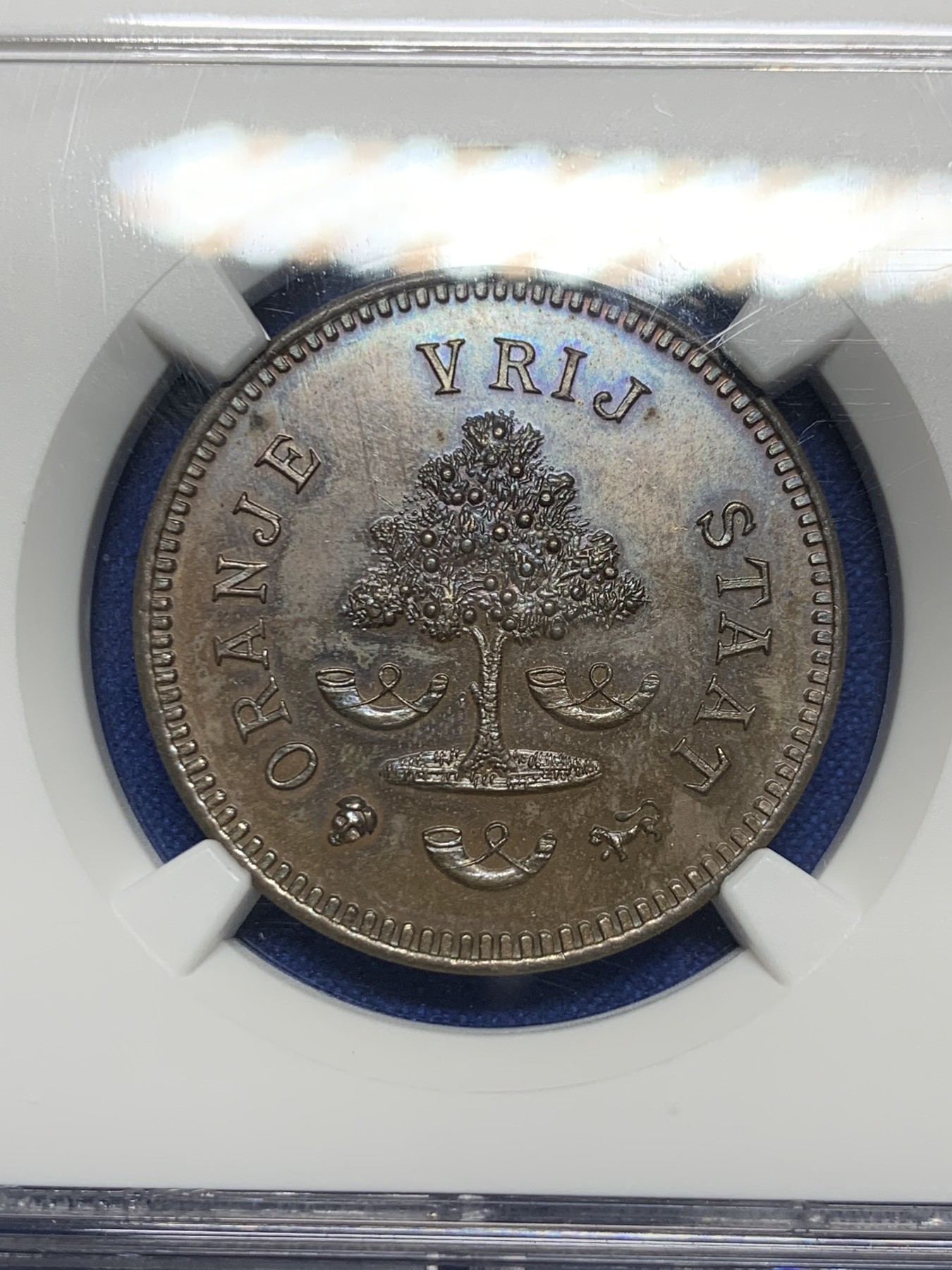 《竞宝斋》第235场-周日，周一，周二，周三 疯狂4连拍 (全场包邮) NGC PF63 南非 1874 奥兰治自由邦 稀少品种 自由数高点无磨损 PF 底板难得状态