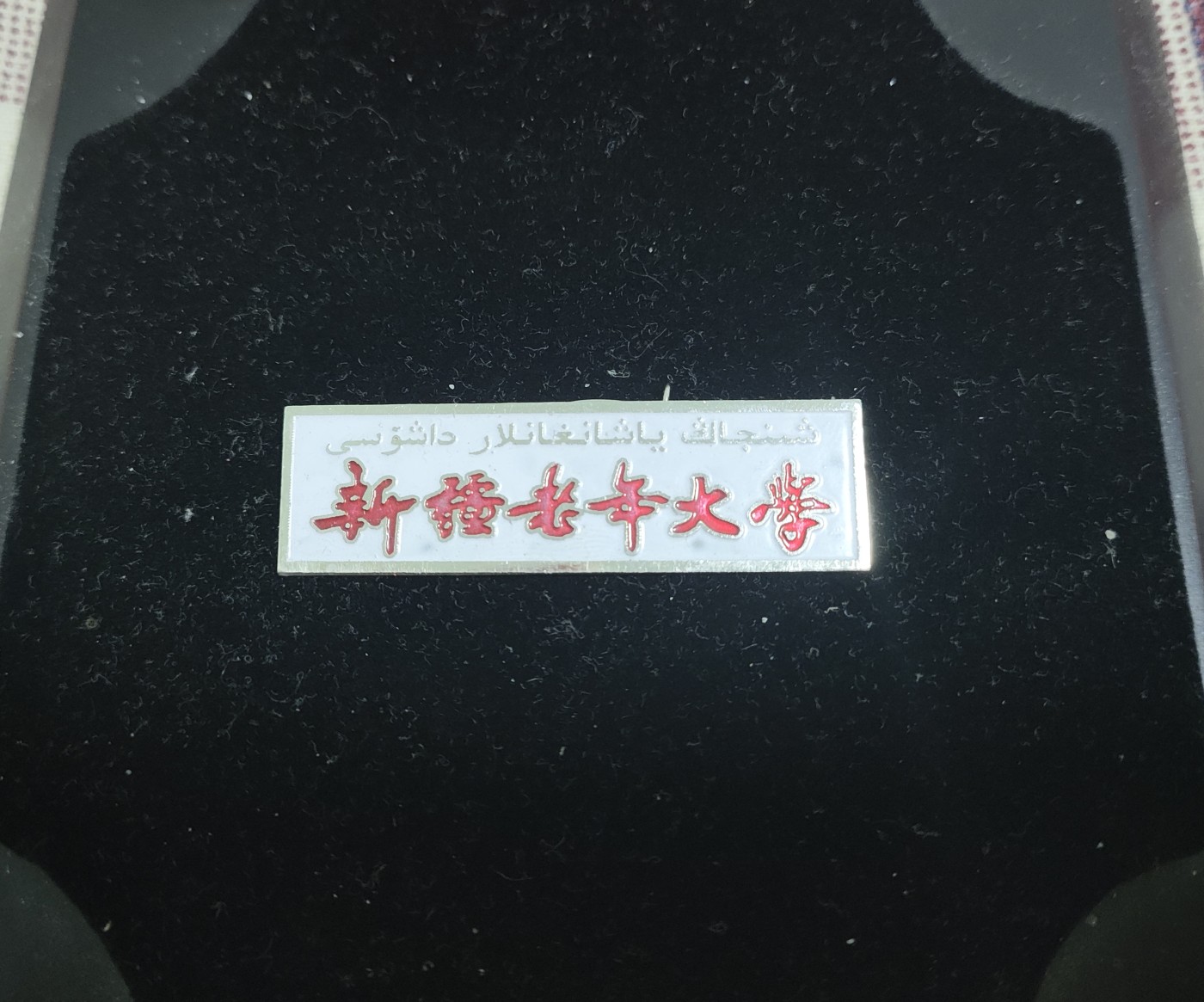 仁孝堂徽章红藏拍卖(第二场) 老校徽 新疆老年大学 老年人上的大学可不多见