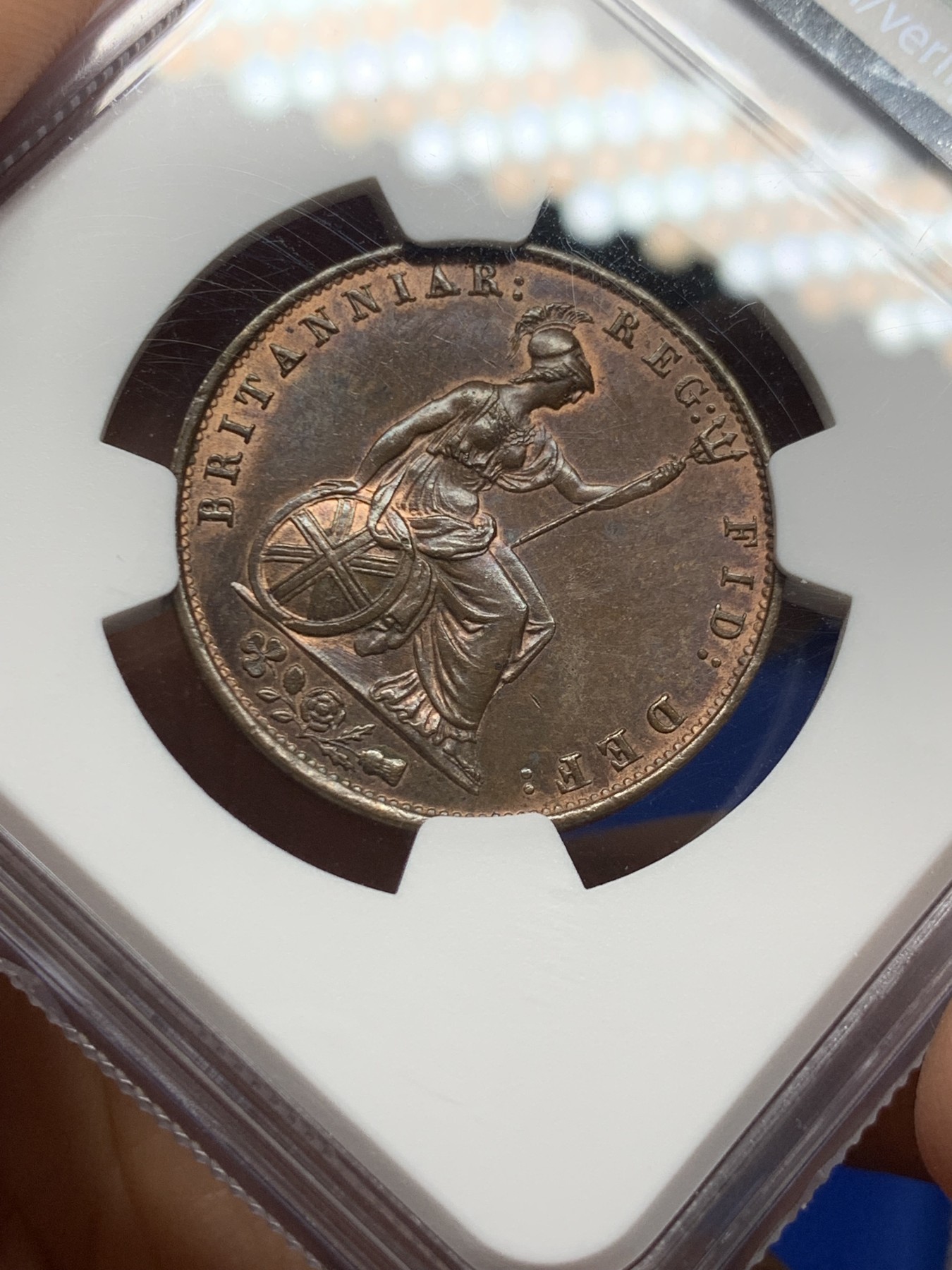 《竞宝斋》第235场-周日，周一，周二，周三 疯狂4连拍 (全场包邮) NGC  MS63BN 1855年英国1/2便士铜币 小维头像，品相一流，不要错过