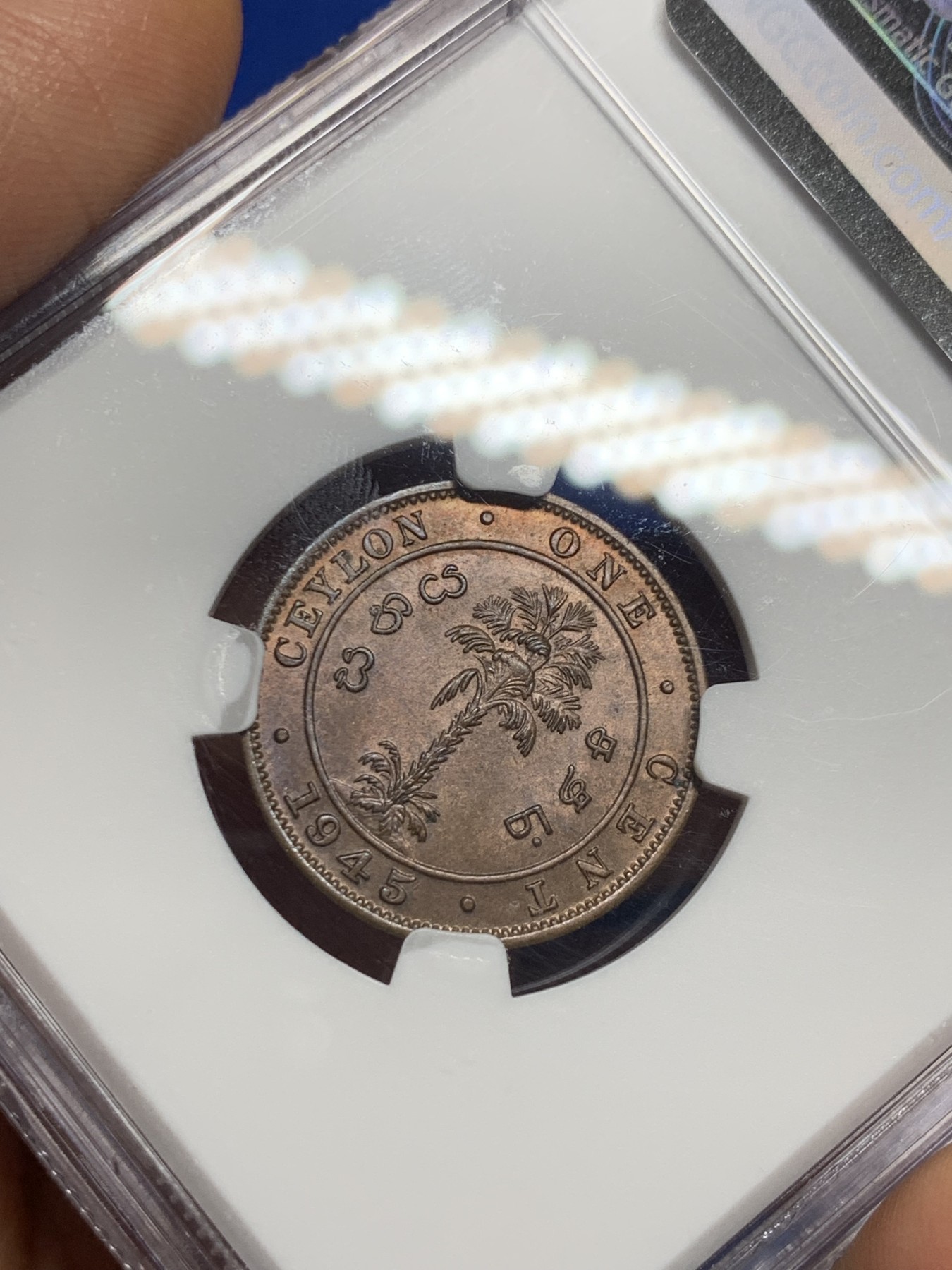 《竞宝斋》第235场-周日，周一，周二，周三 疯狂4连拍 (全场包邮) NGC  MS65RB 1945年英属锡兰1分铜币  亚军分，更高分还有一枚66