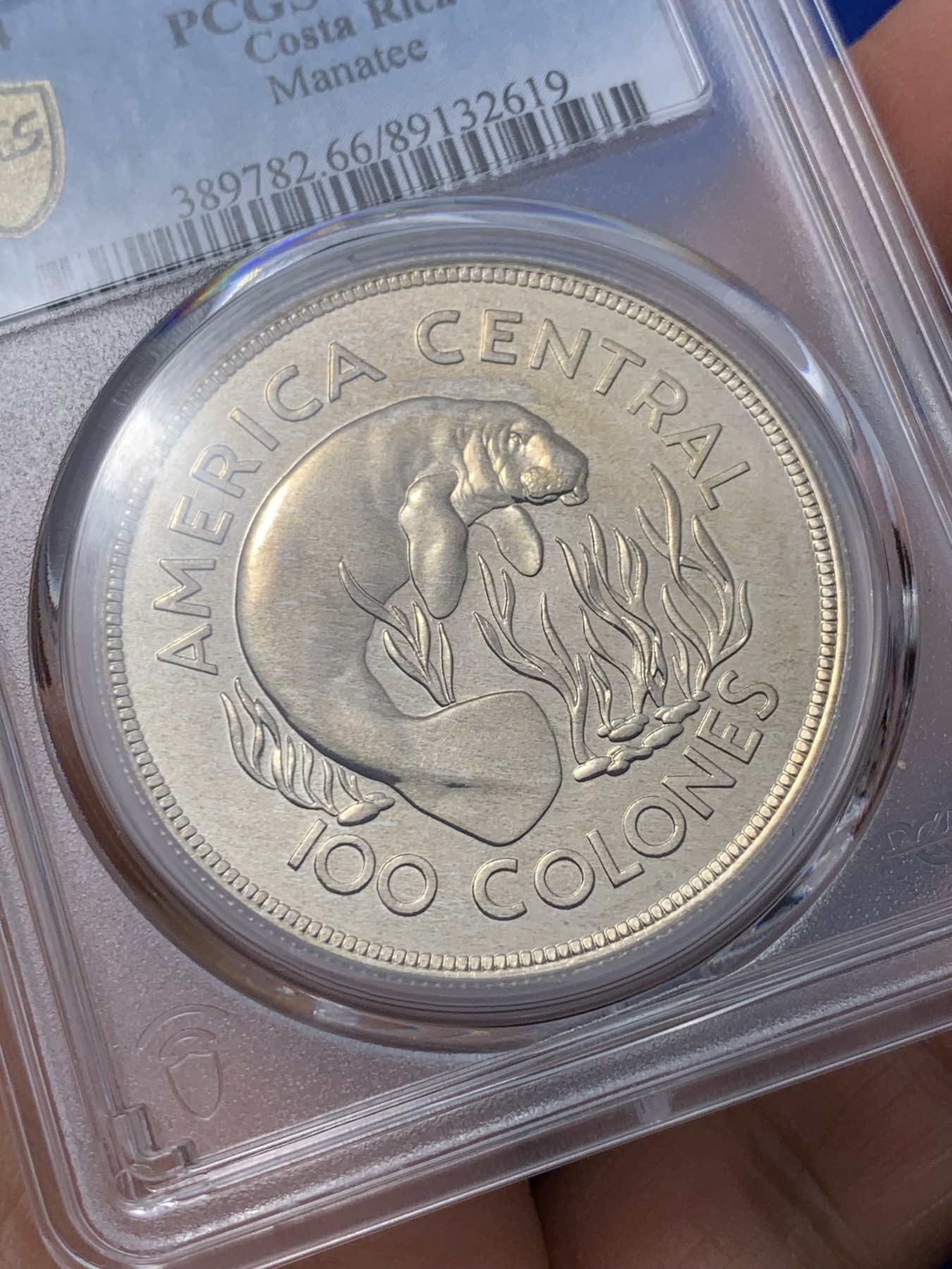 《竞宝斋》第235场-周日，周一，周二，周三 疯狂4连拍 (全场包邮) PCGS金盾 MS66 哥斯达黎加1974年动物100克朗大银币