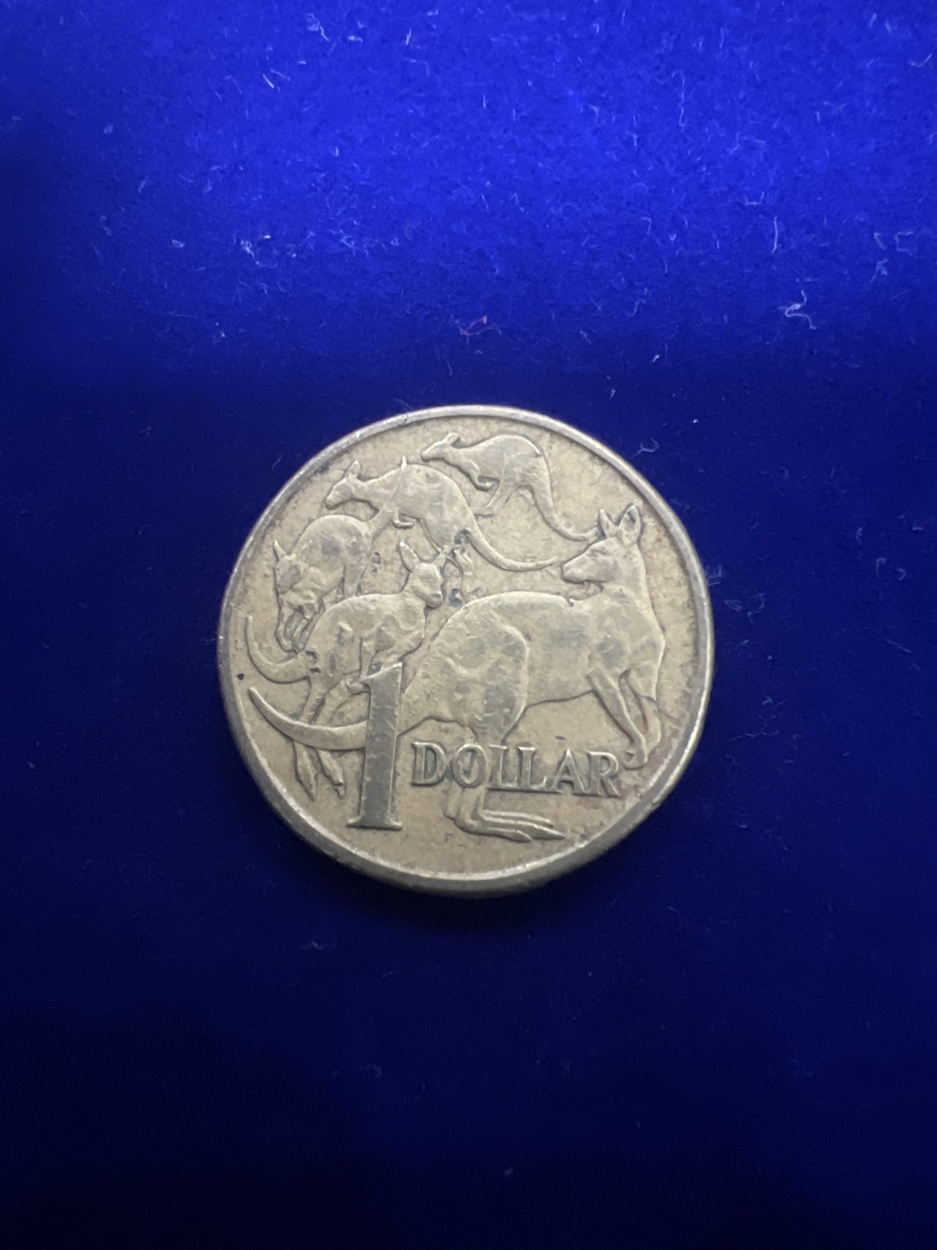 飞翔风筝第十场世界钱币 澳大利亚高冠1元