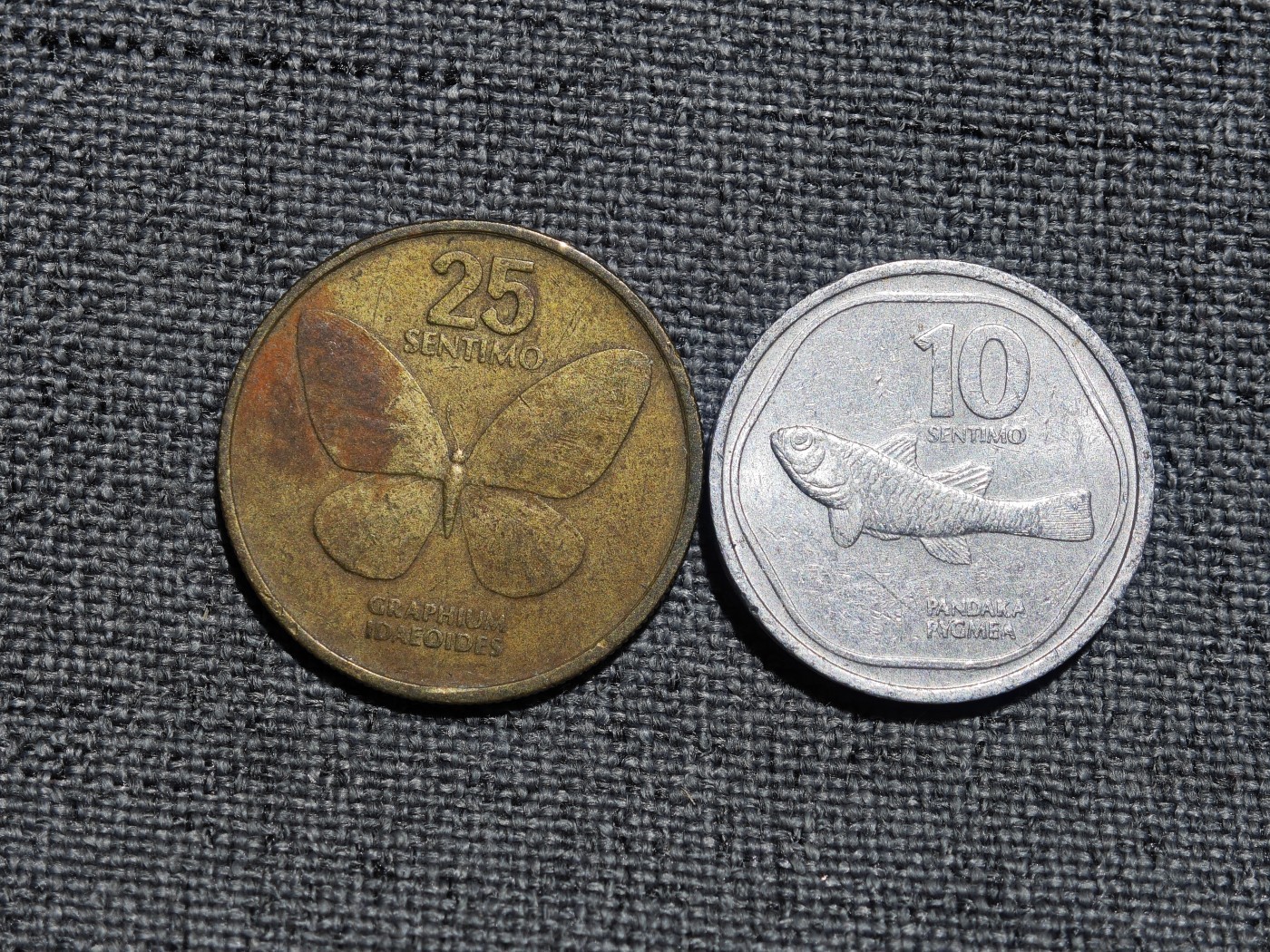 外国硬币收藏第8期 菲律宾80年代蝴蝶与鱼25、10仙2枚