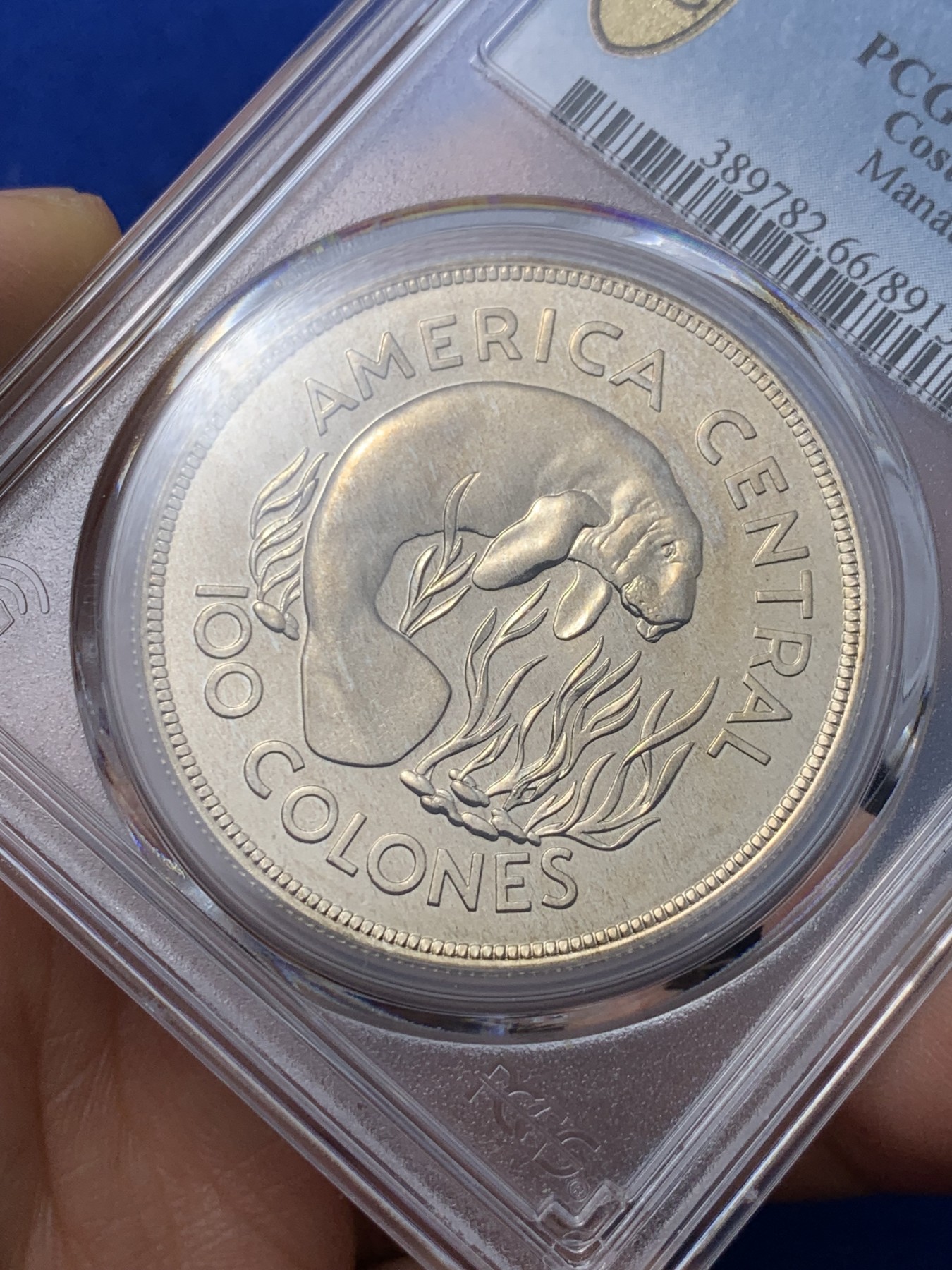 《竞宝斋》第235场-周日，周一，周二，周三 疯狂4连拍 (全场包邮) PCGS金盾 MS66 哥斯达黎加1974年动物100克朗大银币