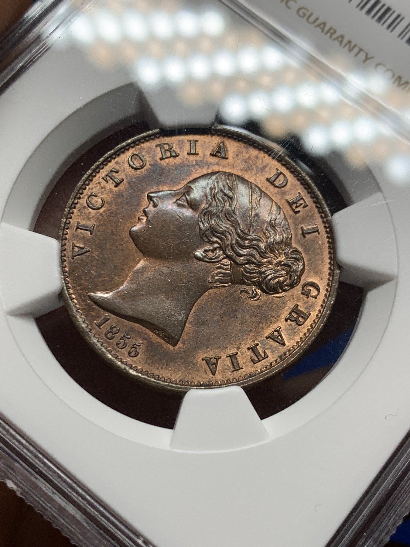 《竞宝斋》第235场-周日，周一，周二，周三 疯狂4连拍 (全场包邮) NGC  MS63BN 1855年英国1/2便士铜币 小维头像，品相一流，不要错过