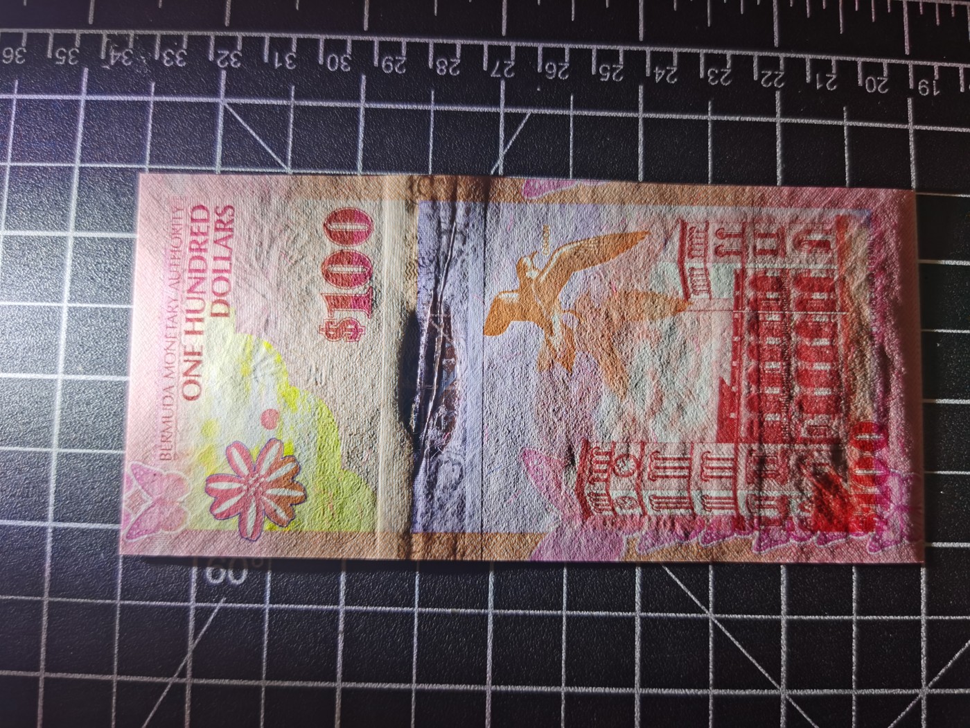 Immortal auction(精品场) 百慕大100，洋葱冠千位号，Unc