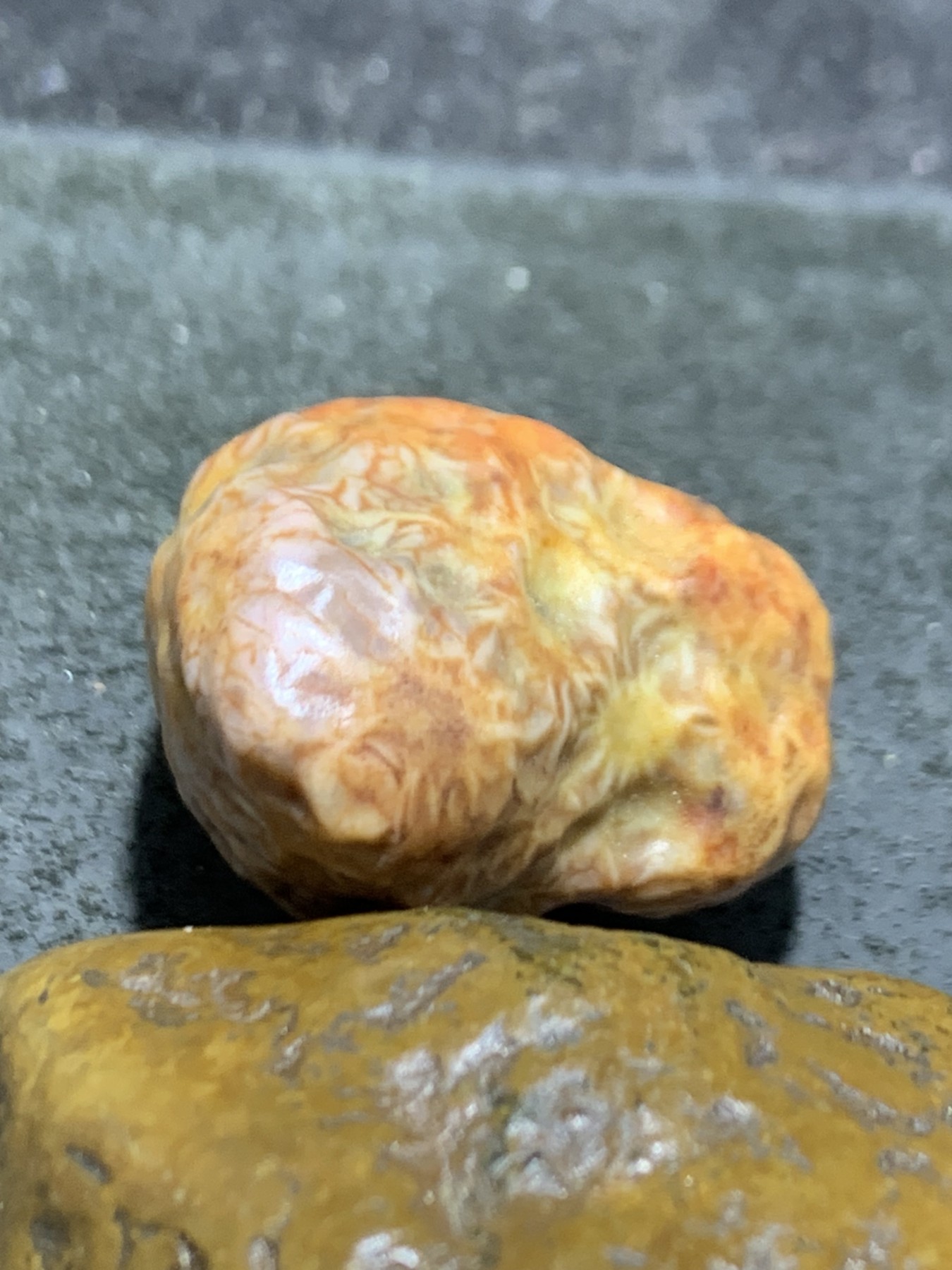 精美戈壁红皮飘花筋脉石原石一颗