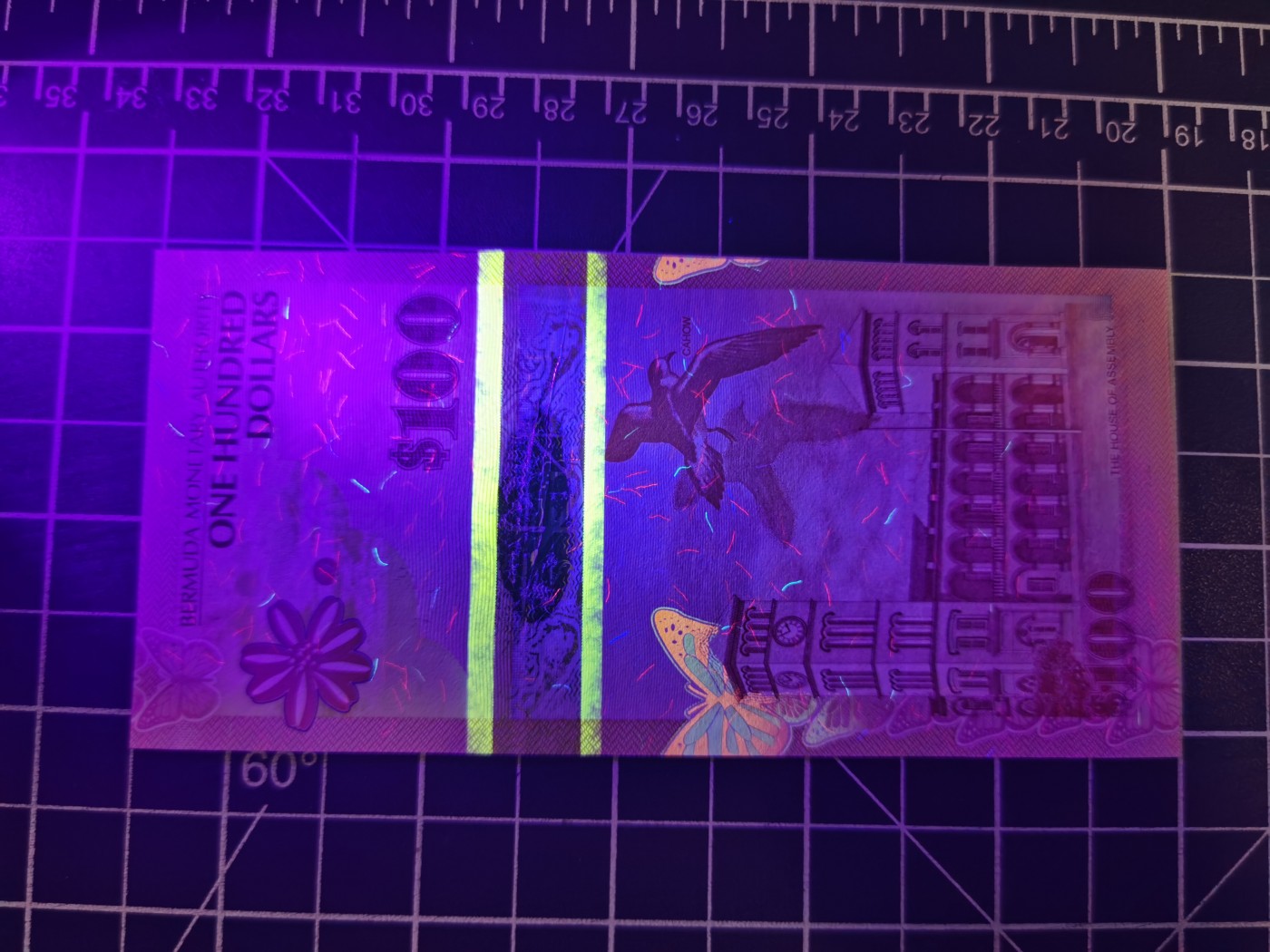 Immortal auction(精品场) 百慕大100，洋葱冠千位号，Unc