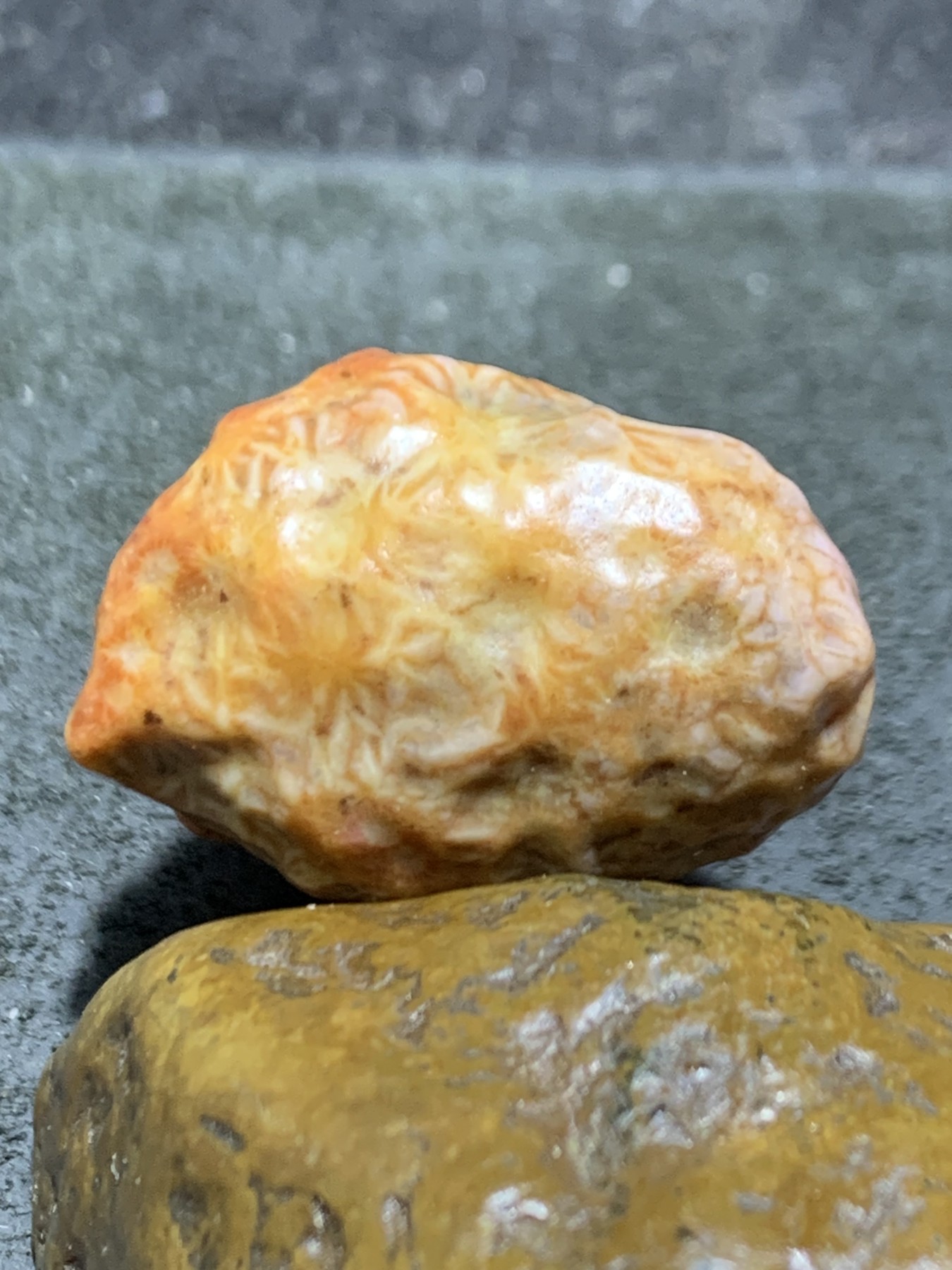 精美戈壁红皮飘花筋脉石原石一颗